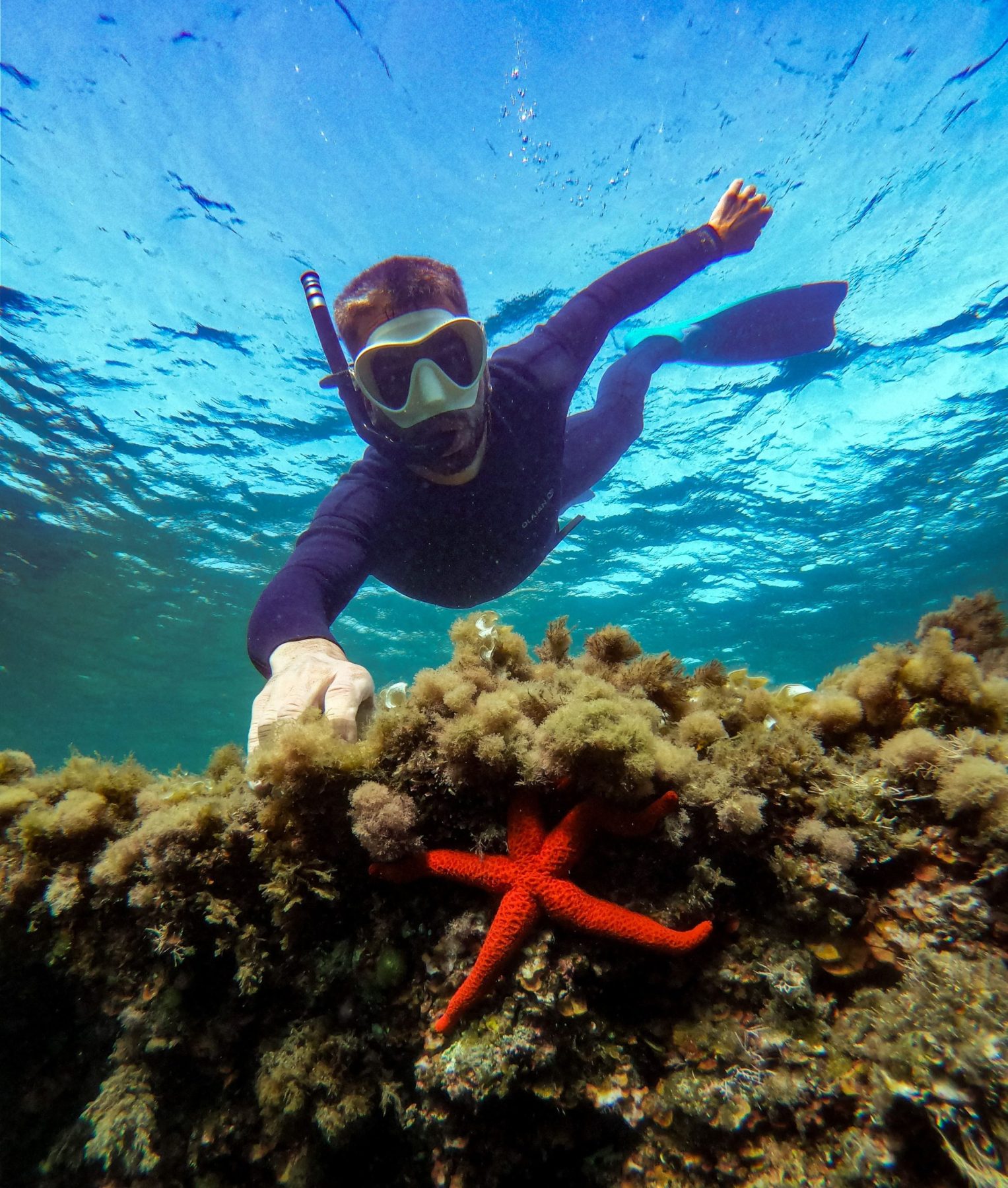 Snorkel guiado